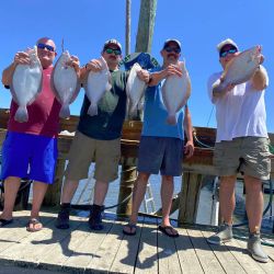 297741921 5648532575199614 n