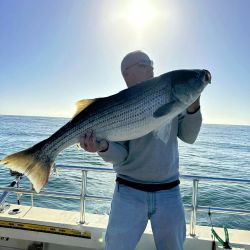 313340333 572540961343750 n