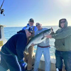 313415146 572540981343748 n