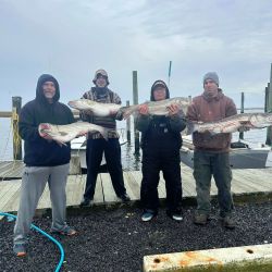 315897455 583180096946503 n